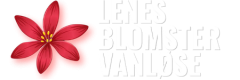 lenes_blomster_vanlose